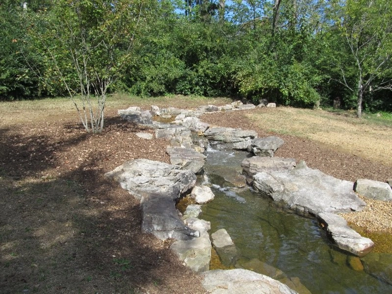 Signal Mountain Native Plant Garden by Dream Gardens Landscape Design & Installation - Photo 3