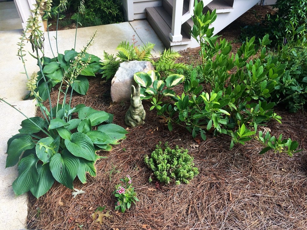 Elder Mountain Woodland Estate by Dream Gardens Landscape Design & Installation - Photo 3