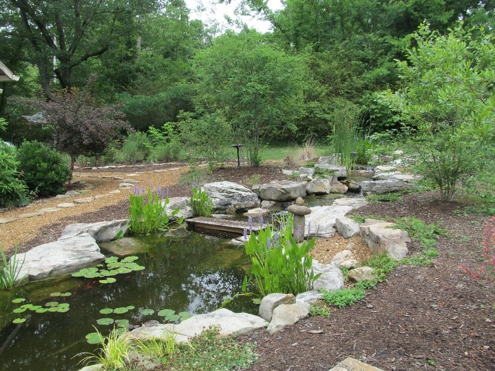 Signal Mountain Native Plant Garden by Dream Gardens Landscape Design & Installation - Photo 2
