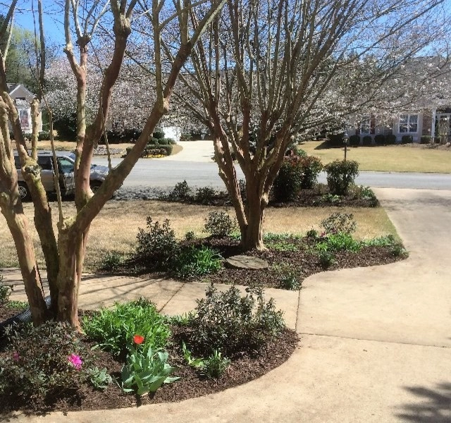 Suburban Spring Redo - Cummings Cove by Dream Gardens Landscape Design & Installation - Photo 2