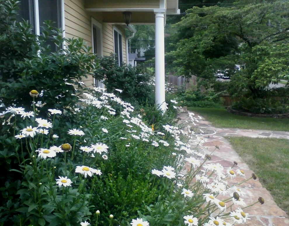 St. Elmo Contemporary Cottage by Dream Gardens Landscape Design & Installation - Photo 3