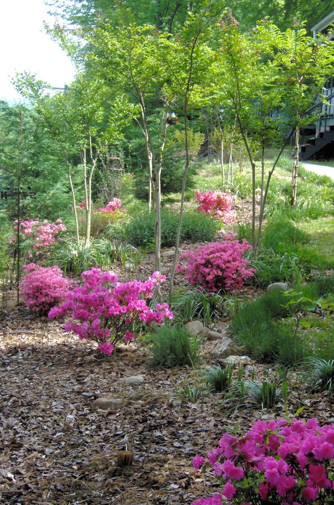 Mixed Styles by Dream Gardens Landscape Design & Installation - Photo 2