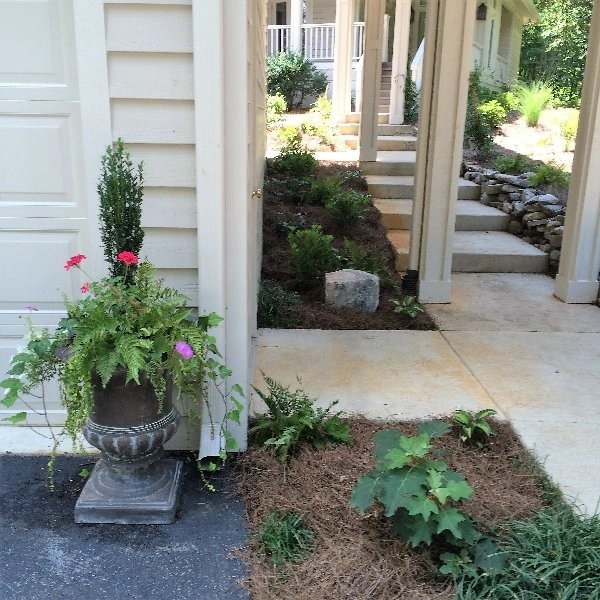 Elder Mountain Woodland Estate by Dream Gardens Landscape Design & Installation - Photo 13