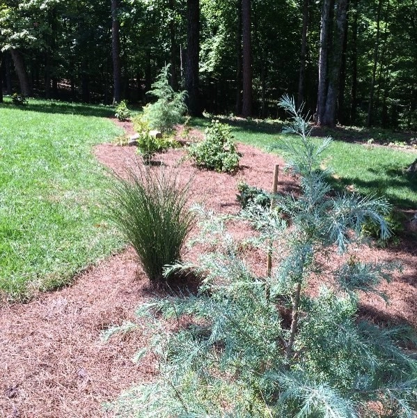 Elder Mountain Woodland Estate by Dream Gardens Landscape Design & Installation - Photo 11