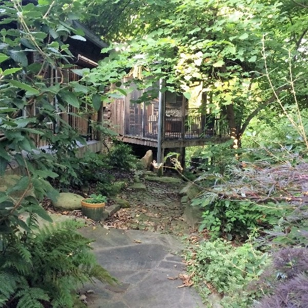 Elder Mountain Woodland Garden by Dream Gardens Landscape Design & Installation - Photo 5