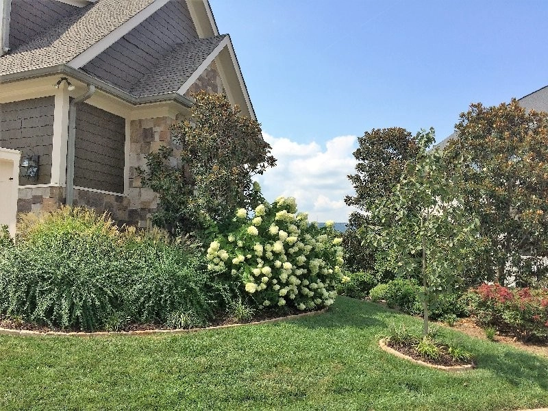 Hill Pointe - N. Chatt. Home by Dream Gardens Landscape Design & Installation - Photo 3