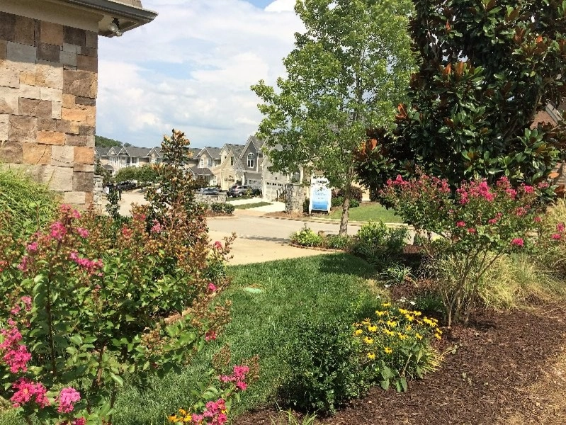 Hill Pointe - N. Chatt. Home by Dream Gardens Landscape Design & Installation - Photo 6
