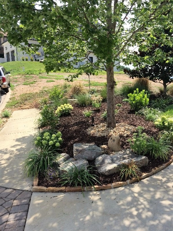 Hill Pointe - N. Chatt. Home by Dream Gardens Landscape Design & Installation - Photo 8