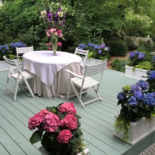 St Elmo Historic Cottage by Dream Gardens Landscape Design & Installation - Photo 18