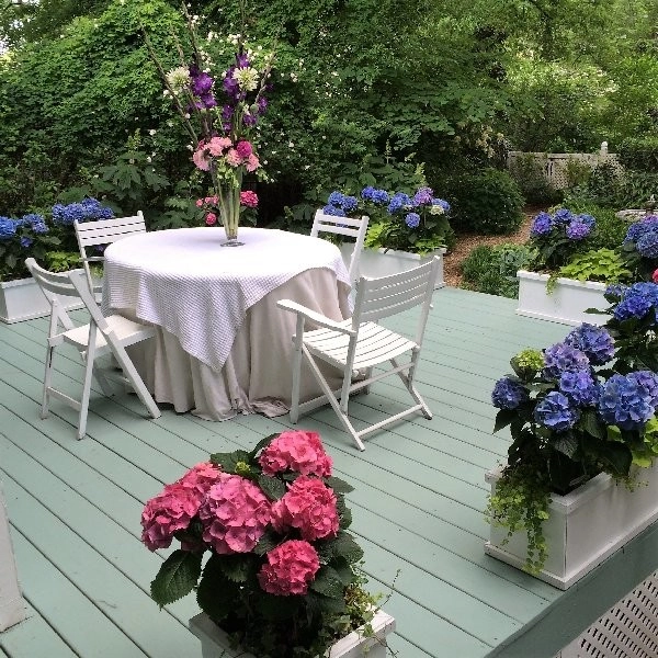 St Elmo Historic Cottage by Dream Gardens Landscape Design & Installation - Photo 19