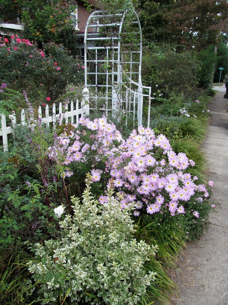 St Elmo Historic Cottage by Dream Gardens Landscape Design & Installation - Photo 23