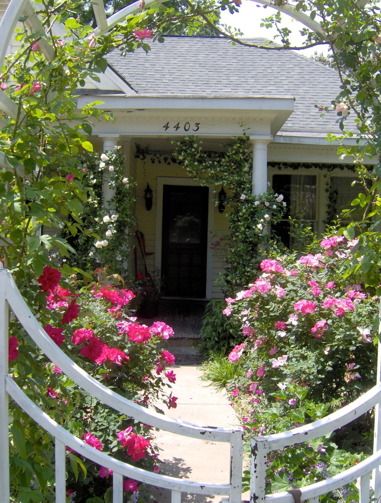 St Elmo Historic Cottage by Dream Gardens Landscape Design & Installation - Photo 29