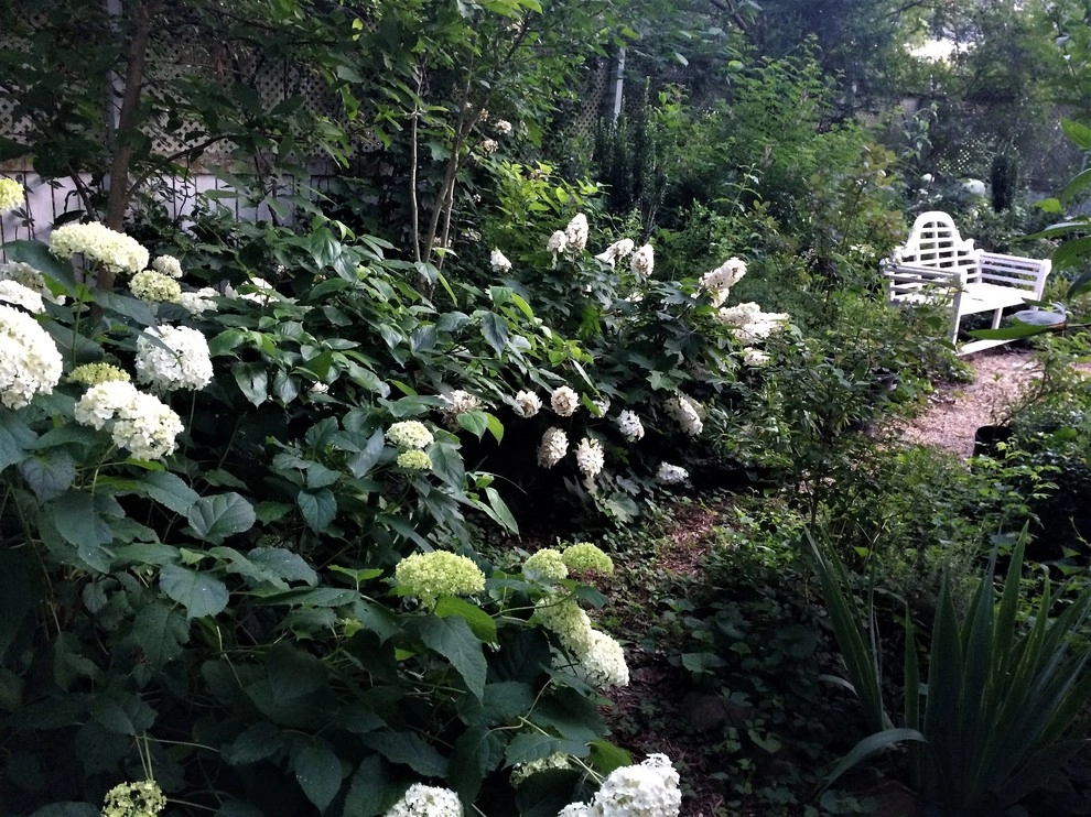 St Elmo Historic Cottage by Dream Gardens Landscape Design & Installation - Photo 24