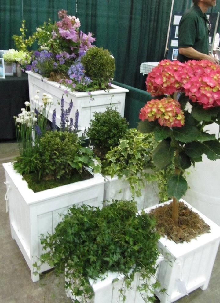 Mixed Styles by Dream Gardens Landscape Design & Installation - Photo 5
