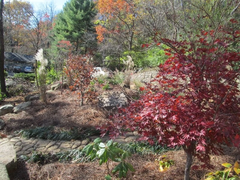 Signal Mountain Rain Garden by Dream Gardens Landscape Design & Installation - Photo 2