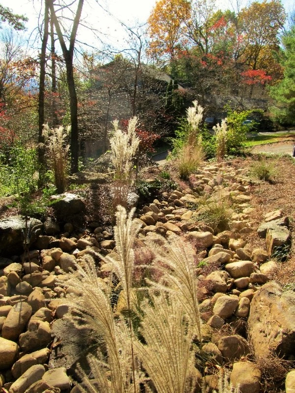 Signal Mountain Rain Garden by Dream Gardens Landscape Design & Installation - Photo 4