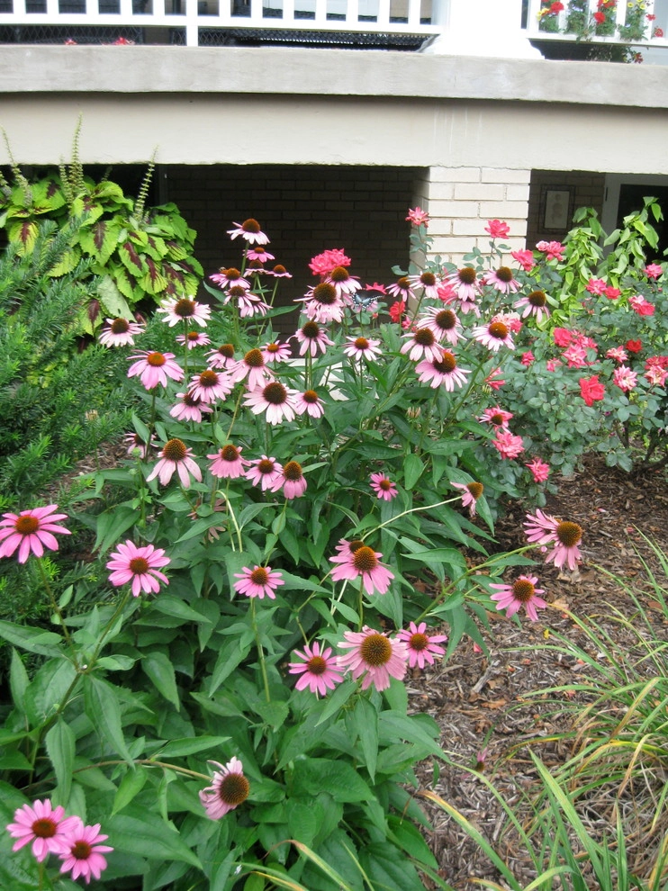 Missionary Ridge Historic Estate by Dream Gardens Landscape Design & Installation - Photo 14