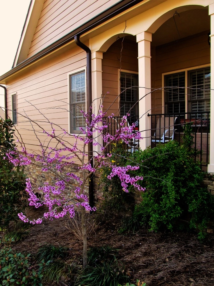 Contemporary Hixson Home by Dream Gardens Landscape Design & Installation - Photo 3