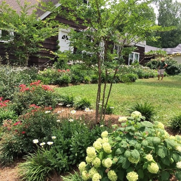 North Chattanooga Mini-Estate by Dream Gardens Landscape Design & Installation - Photo 3