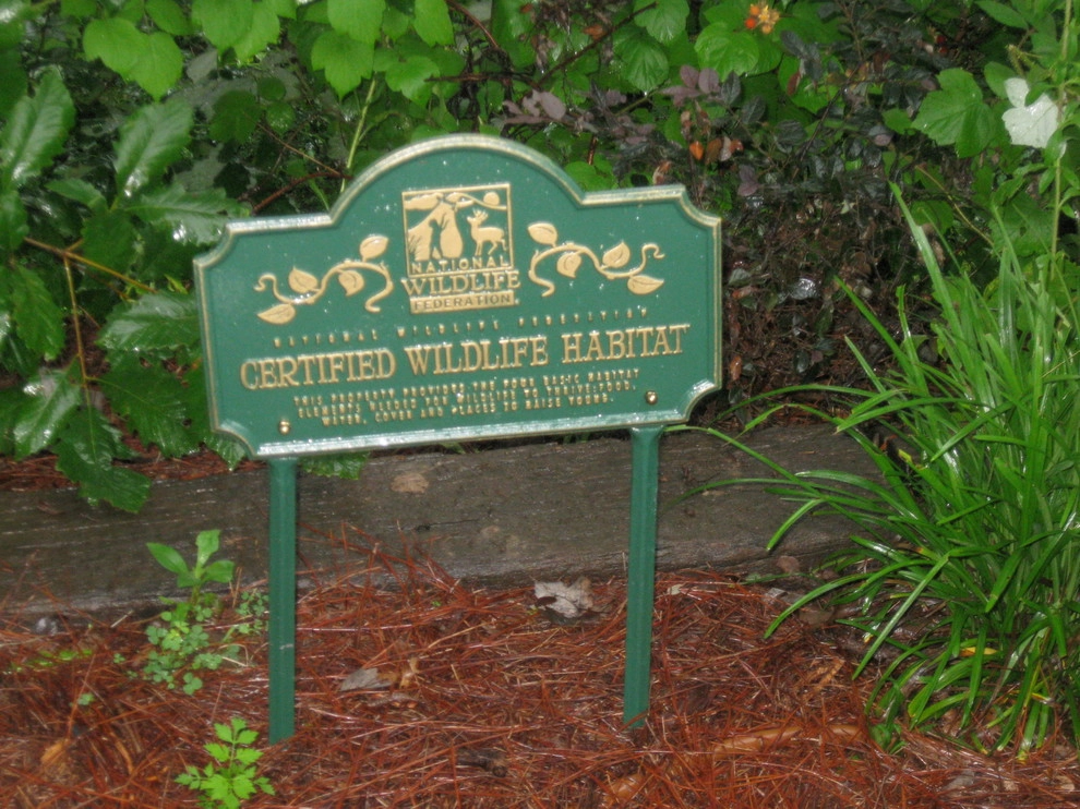 Elder Mountain Woodland Garden by Dream Gardens Landscape Design & Installation - Photo 3