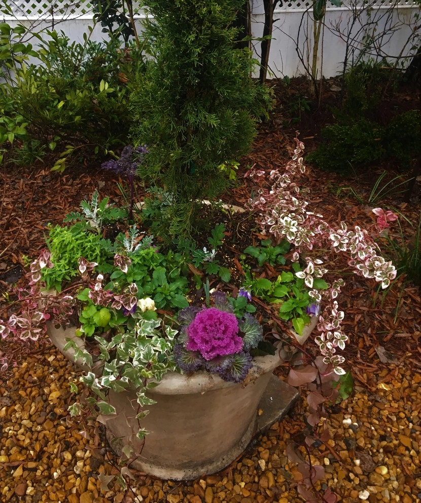 St Elmo Historic Cottage by Dream Gardens Landscape Design & Installation - Photo 2