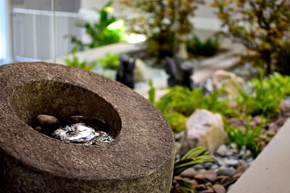 Swidersky Residence Entrance Garden by InFORMation Design LLC - Photo 10