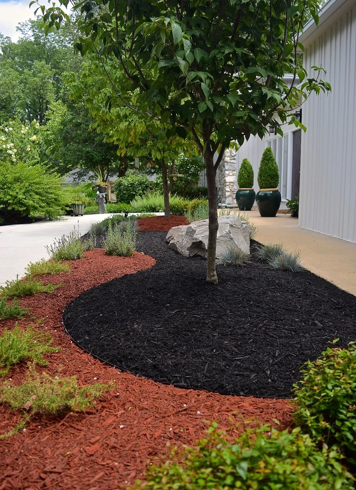 Swidersky Residence Entrance Garden by InFORMation Design LLC - Photo 6