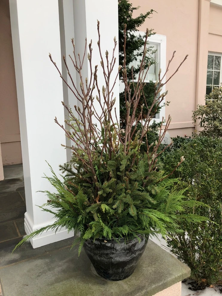 Winter Arrangements by Innovative Garden Design - Photo 10