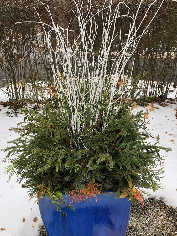 Winter Arrangements by Innovative Garden Design - Photo 9