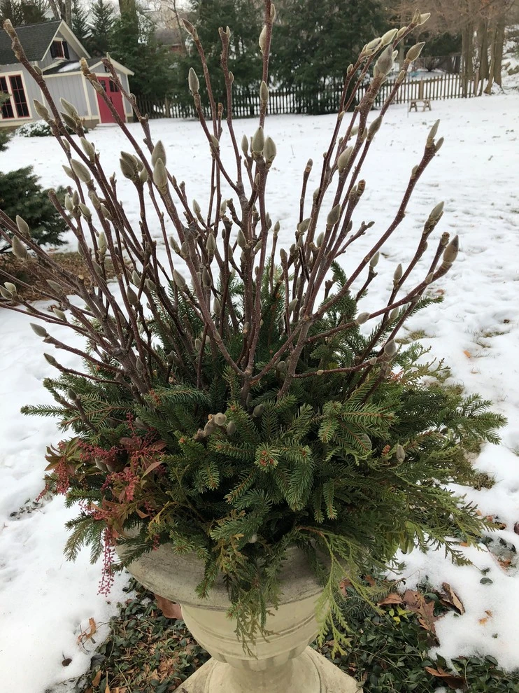 Winter Arrangements by Innovative Garden Design - Photo 2