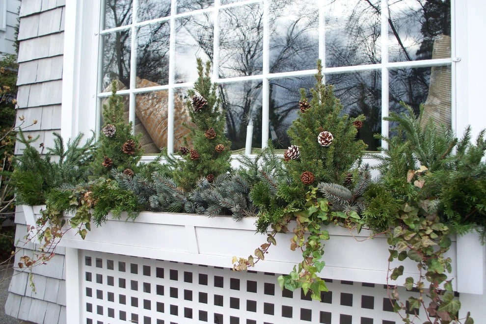 Winter Arrangements by Innovative Garden Design - Photo 11