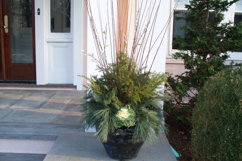 Winter Arrangements by Innovative Garden Design - Photo 8