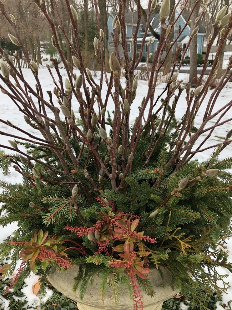 Winter Arrangements by Innovative Garden Design - Photo 13
