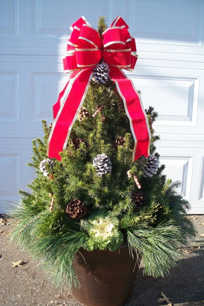Winter Arrangements by Innovative Garden Design - Photo 5