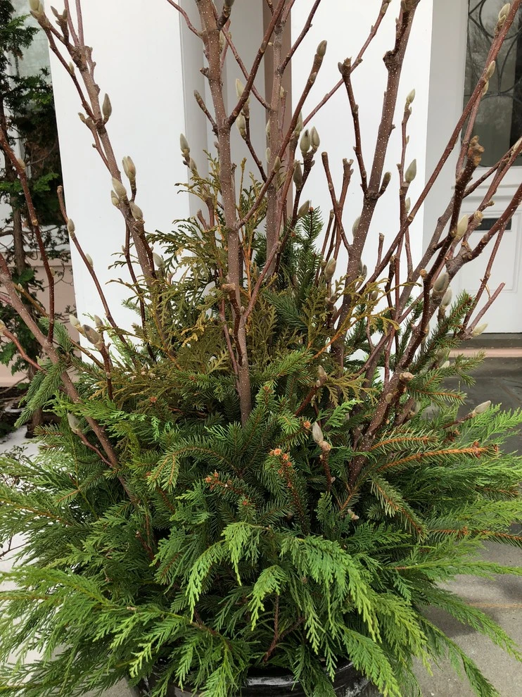 Winter Arrangements by Innovative Garden Design - Photo 4