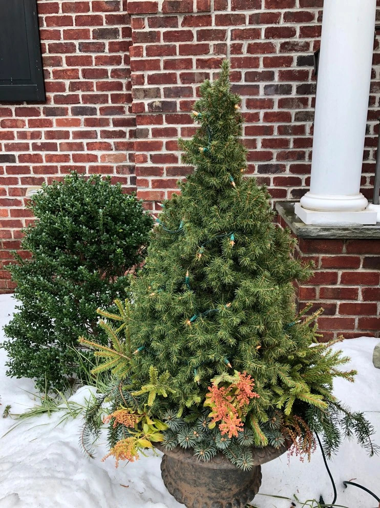 Winter Arrangements by Innovative Garden Design - Photo 3