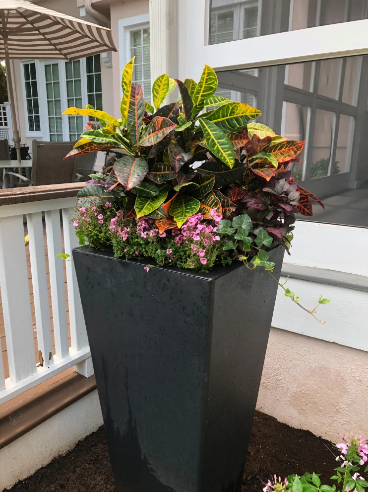 Pots, Planters and Window Boxes by Innovative Garden Design - Photo 4