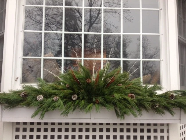 Pots, Planters and Window Boxes by Innovative Garden Design - Photo 2