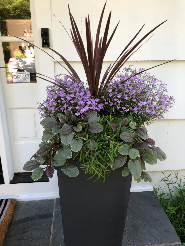 Pots, Planters and Window Boxes by Innovative Garden Design - Photo 16
