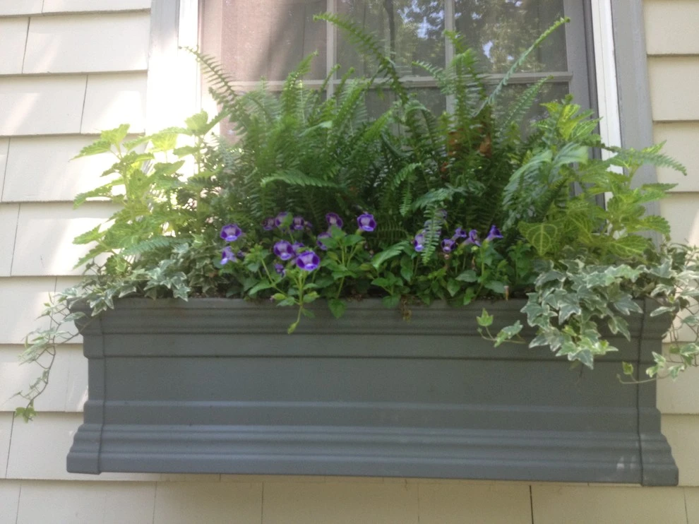 Pots, Planters and Window Boxes by Innovative Garden Design - Photo 12