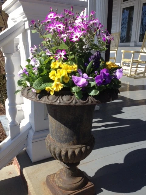 Pots, Planters and Window Boxes by Innovative Garden Design - Photo 10