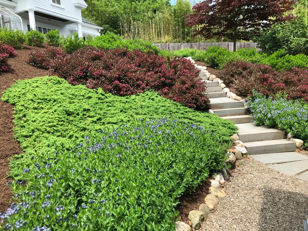 Slope Planting by Innovative Garden Design - Photo 2