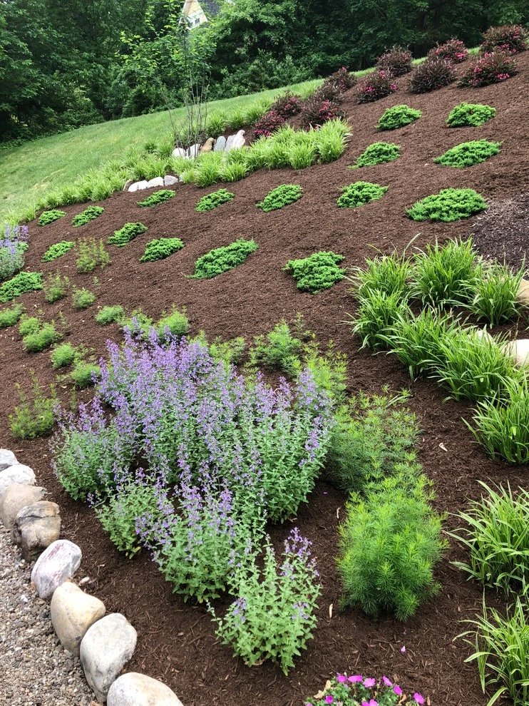 Slope Planting by Innovative Garden Design - Photo 5