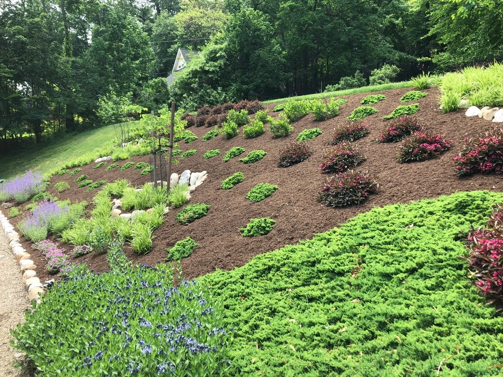 Slope Planting by Innovative Garden Design - Photo 4