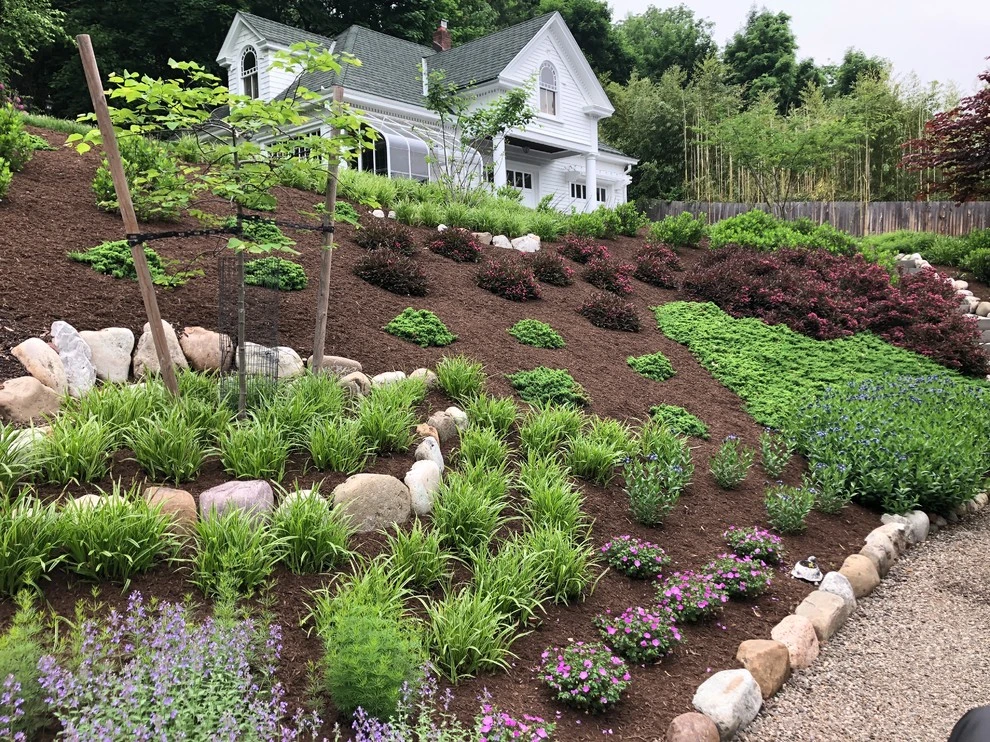 Slope Planting by Innovative Garden Design - Photo 6