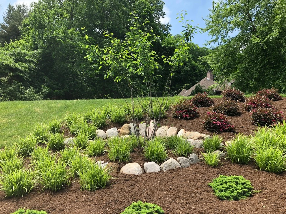 Slope Planting by Innovative Garden Design - Photo 8