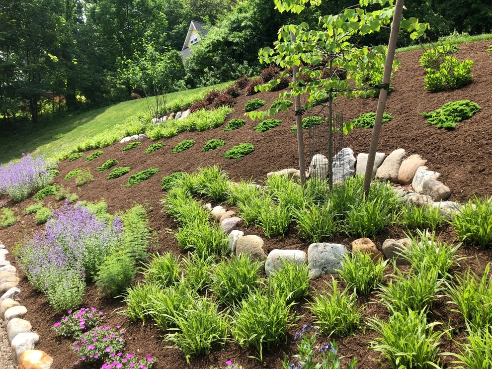 Slope Planting by Innovative Garden Design - Photo 7