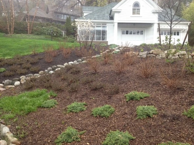 Upper Mountain by Innovative Garden Design - Photo 9