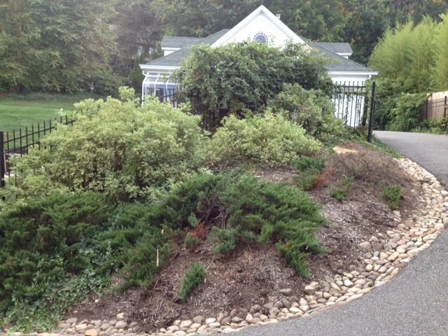 Upper Mountain by Innovative Garden Design - Photo 3