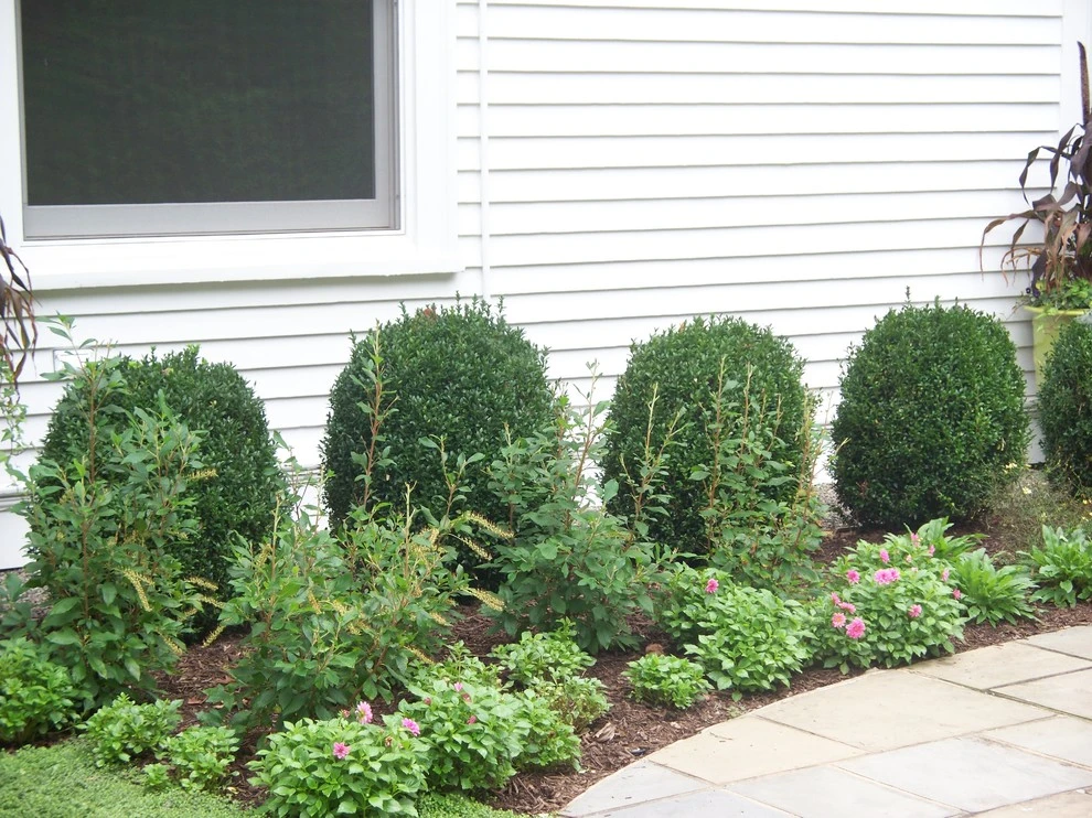 Upper Mountain by Innovative Garden Design - Photo 11